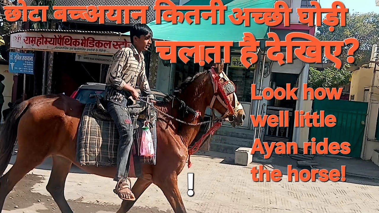 Look how well little Ayan rides the horse! Horsee world of Raja thakur