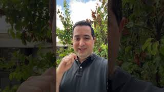 Ultimate Claude Api Secret Ditch Manual Software