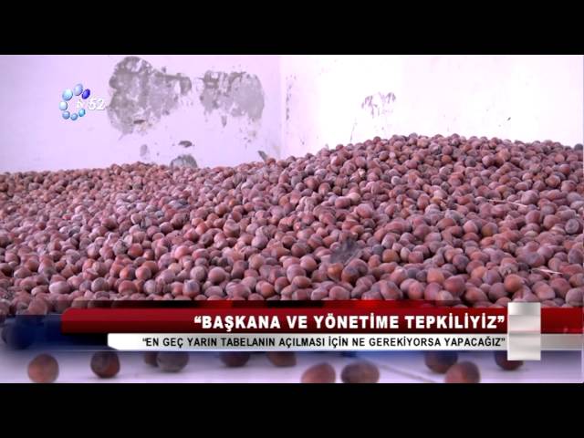 18AĞUSTOS 2015 ANA HABER