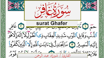 سورة غافر شيرزاد عبد الرحمن طاهر Surah Ghafer Sherzad Taher برواية حفص عن عاصم