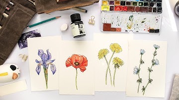 Skillshare Class: Watercolor & Ink Wildflowers