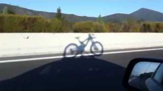 Intense M9 Shadow