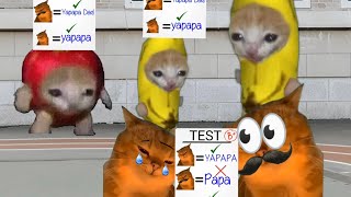 Baby Banana Cat School Videos 😺❤️ 2 Minutes Episode 80