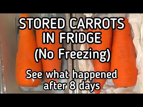 Video: How To Store Carrots Properly. Part 2