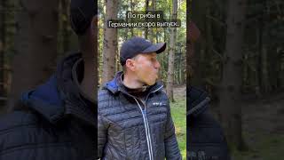 Идём в по грибы в Германии… #германия  #грибы #природа #лес #жизньвгермании