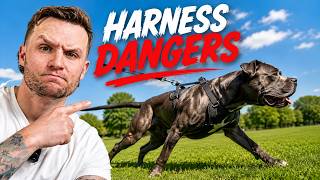 Why You NEED To Throw Your Harness Away RIGHT NOW!