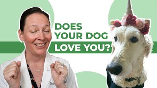 Top Signs Your Dog Loves You! 🥰 by We're All About Pets 68 views 1 year ago 10 minutes