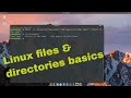 Linux basics files and folders