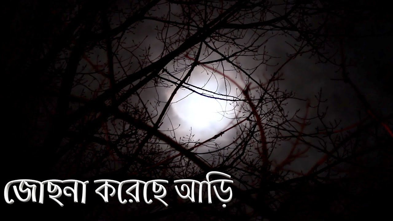 Jochona Koreche Ari  Indian Classical Music  Bengali Sad Song  Bengali Old Song  Lyrics Song