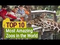 Top 10 Most Amazing Zoos in the World