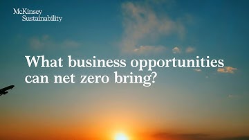 What It Takes to Scale the Green Businesses of the Future | Accelerating the Transition