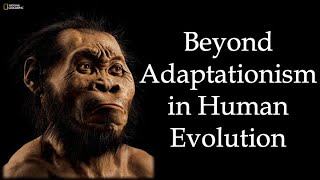 Most Human Evolution Wasn't Adaptive