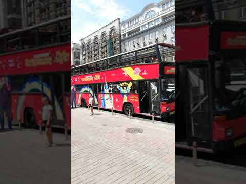 Экскурсионный автобус в Киеве!!! #автобус #экскурсия