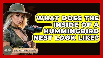 What Does The Inside Of A Hummingbird Nest Look Like? - Bird Watching Diaries