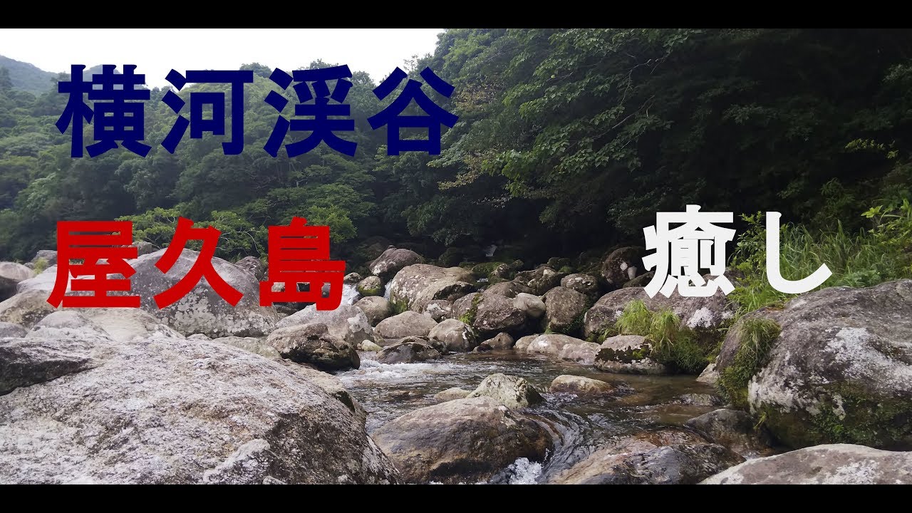 絶景 屋久島 横河渓谷 癒し パワースポット 自然の音 Youtube