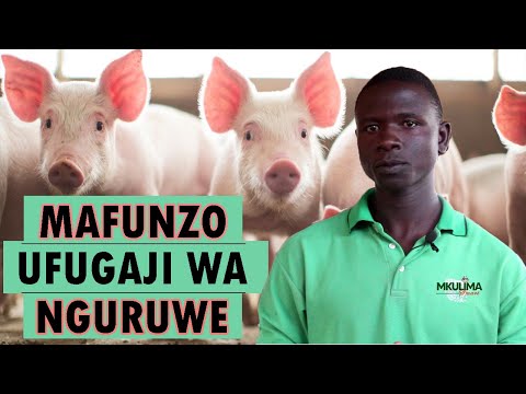 Video: Kiota. Ufungaji mkubwa wa tani 80 za Nils-Udo