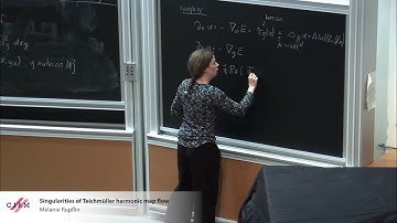 Melanie Rupflin: Singularities of Teichmüller harmonic map flow