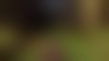 Halo 4: A Reversal of Fortune