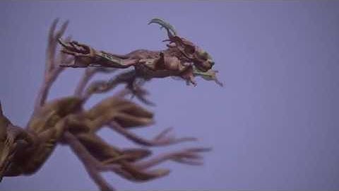 Treemonk - Oculus Medium