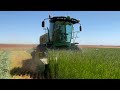 Cutting hay