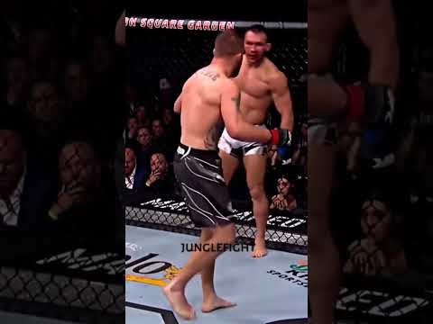 UFC status video//#boxing #fight #fans #mcgregor