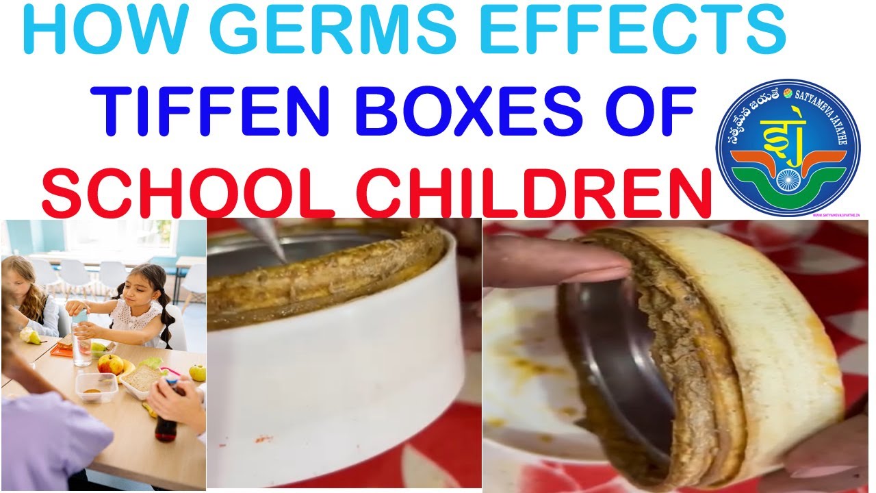 How germs effects tiffin boxes of school children be aware of germs # ...