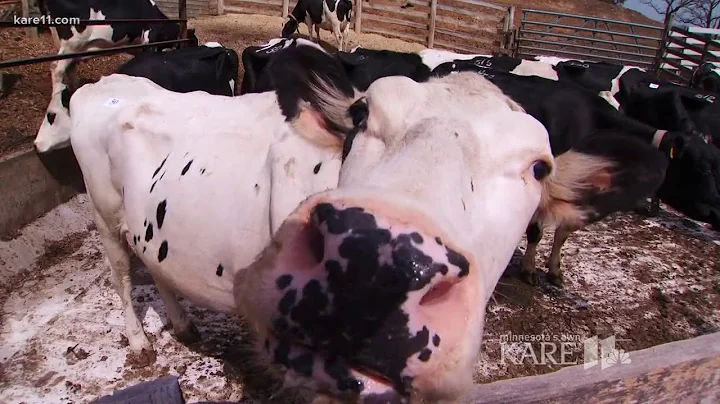 Land of 10,000 Stories: Huppert Dairy among hundre...