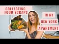 How I Collect Food Scraps for Compost in my NYC Apartment | Lucie Fink