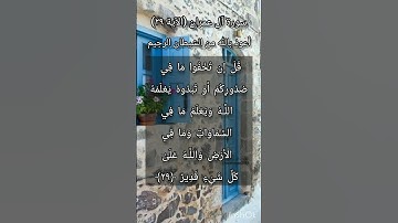 سورة آل عمران الآية ٢٩