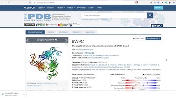 Multiple Sequence Alignment | Clustal Omega | Beginner