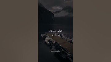 سورة القلم.. القارئ سالم الرويلي