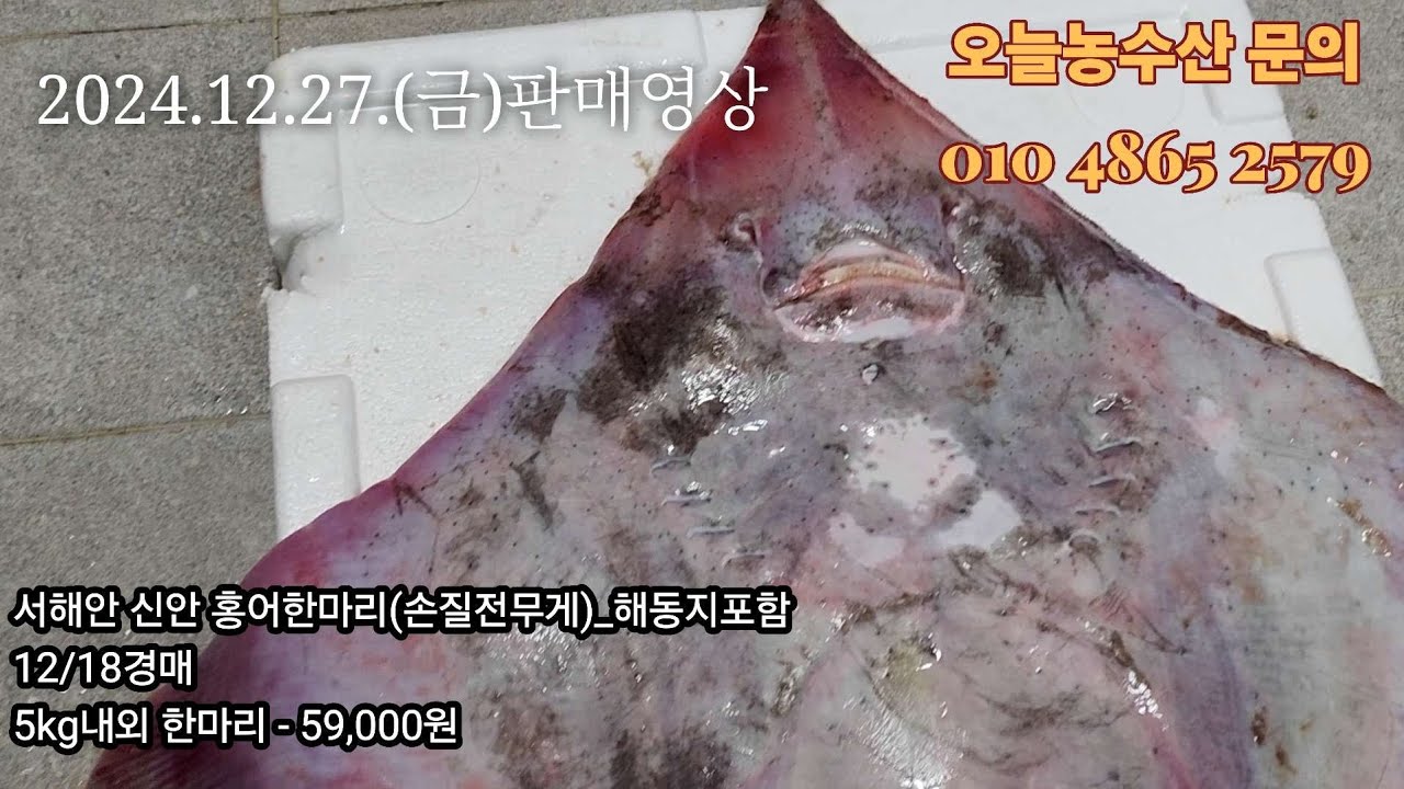 2024.12.27.(금)판매영상 홍어 5k 5민9천 반건조 참조기 두절조기 병어 제수용 드세요^^ #목포 #생선 #fish ...