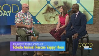 Toledo Animal Rescue Yappy Hour | Good Day on WTOL 11