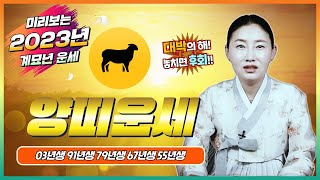 2023년 신년운세양띠운세올해는 대박이다! 놓치면 후회 합니다!!계미생 신미생 기미생 정미생 을미생 양띠 분…