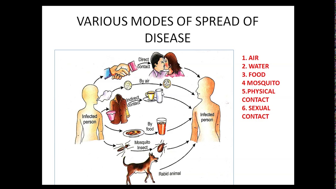 Why do we fall ill (Part-2) - YouTube