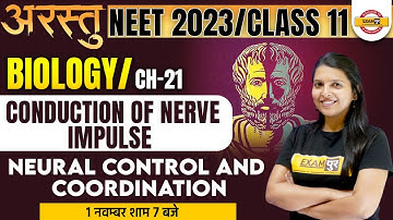 NEET 2023 BIOLOGY | NEURAL CONTROL AND COORDINATION | CONDUCTION OF NERVE IMPULSE BY RADHIKA MAM