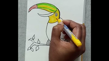 How to Draw Toucan Bird | Easy Drawing Tutorial for Kids