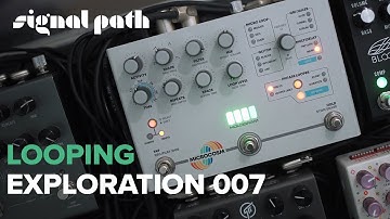 Looping Exploration 007 | Hologram Microcosm, Generation Loss, Mood Mk II | Signal Path