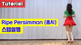 Ripe Persimmon (홍시) Linedance/ Tutorial/ 설명영상