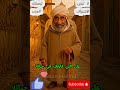 ليه نبكي على اللي فارقنا وهو عايش