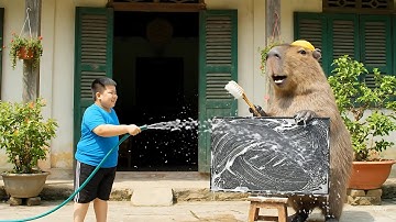 Capy và anh lau ti vi giúp bà và cái kết #capybaravaba