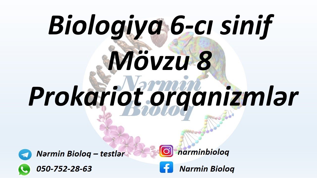 Biologiya 6-cı sinif mövzu 8 - Prokariot orqanizmlər