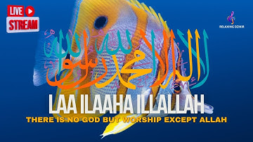 LAILAHAILLALLAH : Daily Dzikir for Stress Relief #40