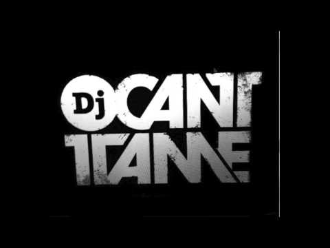 DJ CANT TAME 90S R&B HITS VOL1
