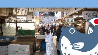 Le marché aux poissons de Tsukiji au Japon | Poisson frais à Tokyo