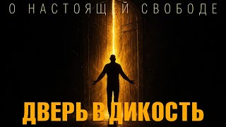 Дверь в дикость | О настоящей свободе