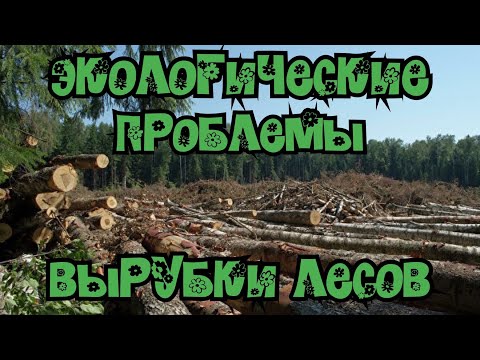 Экологические последствия вырубки лесов