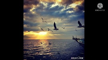 وهى تجرى بهم فى موج كالجبال بصوت القارئ إسلام صبحى 🥀