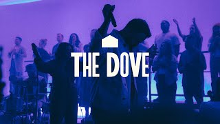Cody Carnes – The Dove ( Live Video)