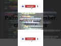Java Palindrome Program in 30 sec 🔥 | Easy Logic for Beginners #shorts